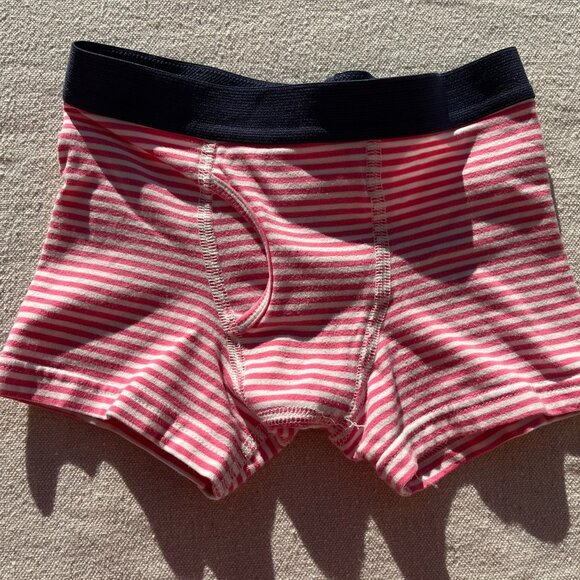 Primary Boxer Brief 3-Pack, "Bubblegum" Mix, Size 4-5, GUC - Picture 2 of 10